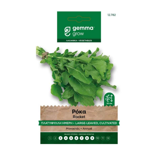 Gemma Ρόκα Πλατύφυλλη Ήμερη Φάκελος Σπόροι