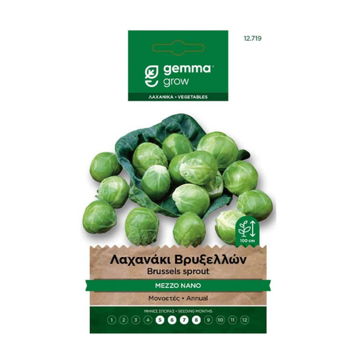 Gemma Λαχανάκι Βρυξελλών Mezzo Nano Φάκελος Σπόροι