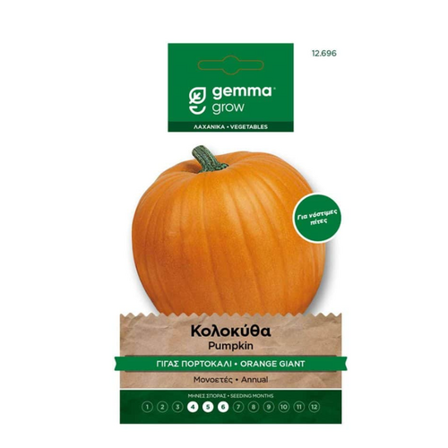 Gemma Κολοκύθα Γίγας Πορτοκαλί Quintale Φάκελος Σπόροι
