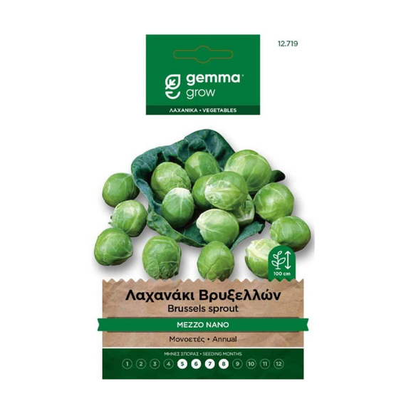 Gemma Λαχανάκι Βρυξελλών Mezzo Nano Φάκελος Σπόροι
