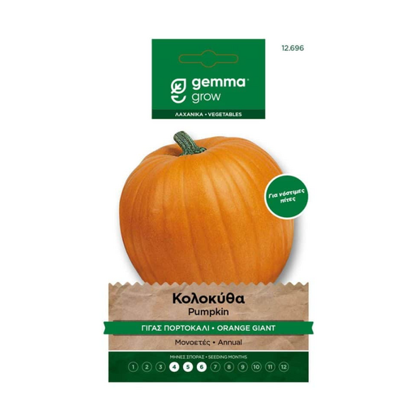 Gemma Κολοκύθα Γίγας Πορτοκαλί Quintale Φάκελος Σπόροι