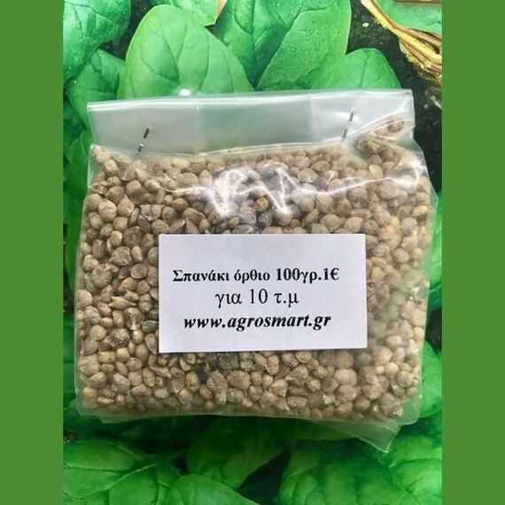Agrosmart Viroflay 1kg Σπόρος Σπανακιού