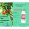 Farmachem Enhance KCS 1lt Λίπασμα